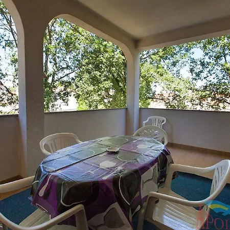 Spacious With Terrace In